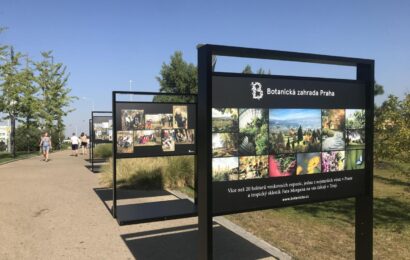 Unikátní výstava Kořeny osobností přímo v centru Berouna