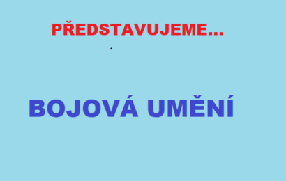 V Berouně si zacvičíte karate i jiu jitsu